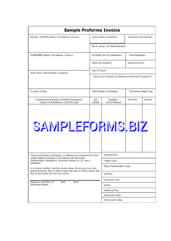 Pro Forma Invoice Template 2